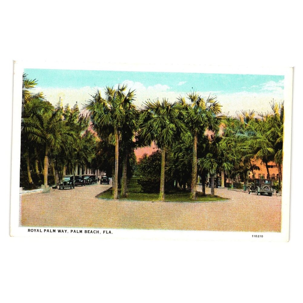 Royal Palm Way Palm Beach Florida Vintage Postcard Art Albert Guionhaud USA